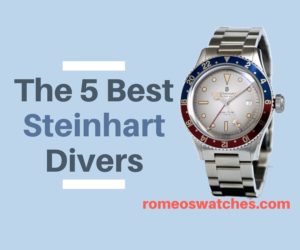 Read more about the article Steinhart Diver Watches: The 5 Best Models